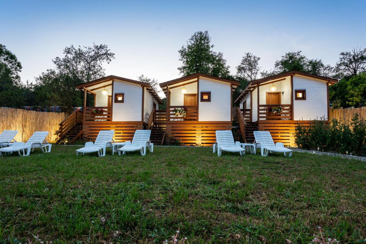Flori Haus Saschiz Hotel Екстериор снимка