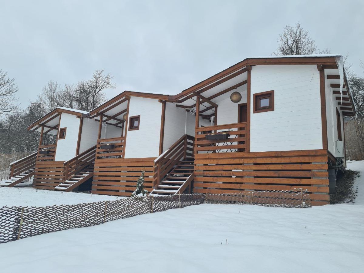 Flori Haus Saschiz Hotel Екстериор снимка